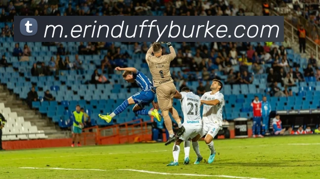 互动解说服务